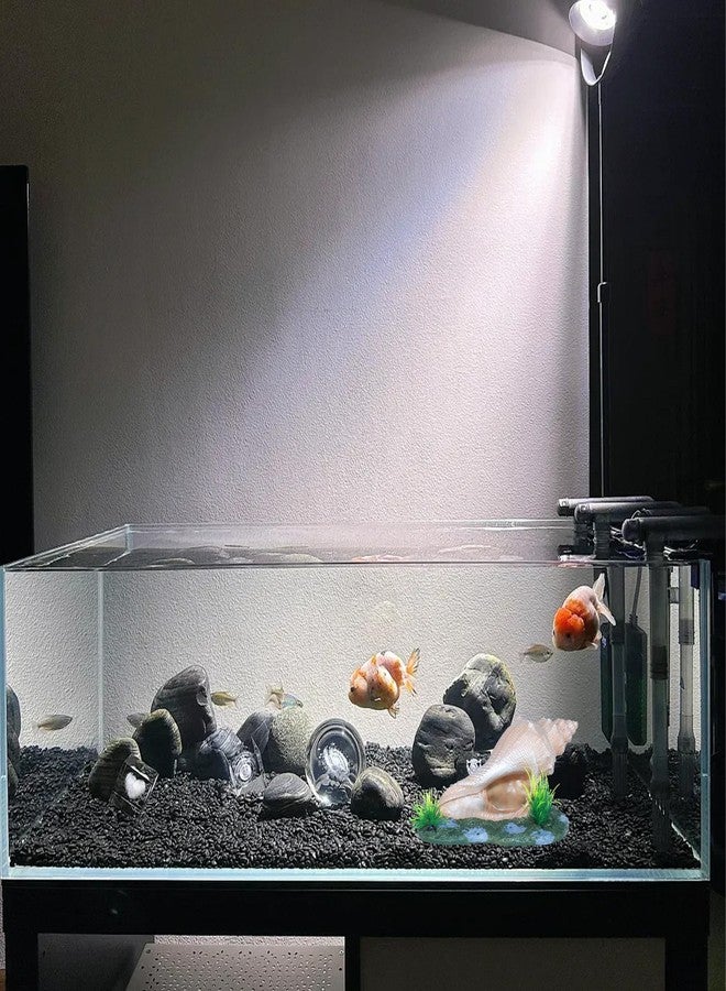 AnRui Ceramic Conch with Holes and Two Small Fish Thematic Betta Fish Tank Accessory Decor Ornament for Fish Passing or Hiding Safely,Aquarium Decoration for Small and Medium Animal (Cute 1) - Image 5